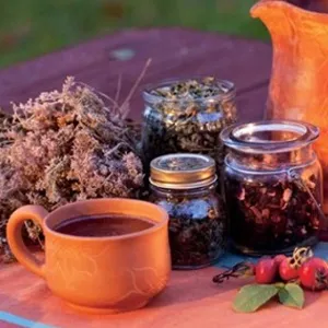 Лікування ХОЗЛ народними засобами (ХОЗЛ лікування народними засобами відгуки) Лікування ХОЗЛ народними засобами