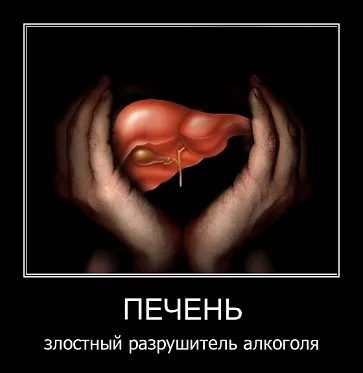 Лікування печінки після алкоголю