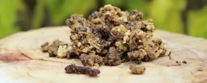Лікування ХОЗЛ народними засобами (настояти відвар хвилин) Лікування ХОЗЛ народними засобами