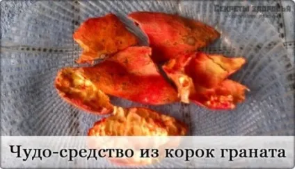 Лікування шлункових захворювань корками граната, здоров'я від природи (корками) Лікування шлункових захворювань корками граната, здоров'я від природи