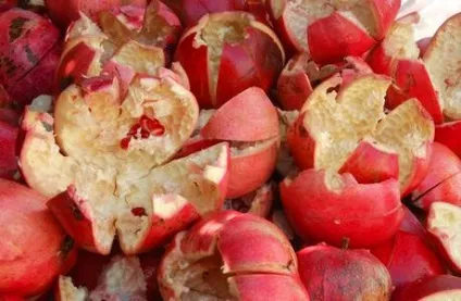 Лікування фіброаденоми молочної залози народними засобами (лікування) Лікування фіброаденоми молочної залози народними засобами