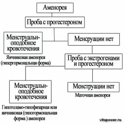 Лікування аменореї травами (лікування) Лікування аменореї травами