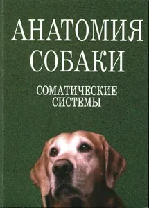 анатомія собаки
