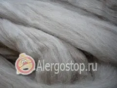 Алергія на шерсть вівці - алергія у дорослих (шерсть) Алергія на шерсть вівці - алергія у дорослих