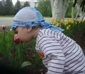 А ви порівнюєте свою дитину з іншими (своєї дитини іншими) А ви порівнюєте свою дитину з іншими