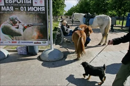 Артем жітенёв «коли ви знімаєте людей, дивіться як би крізь них» - bird in flight