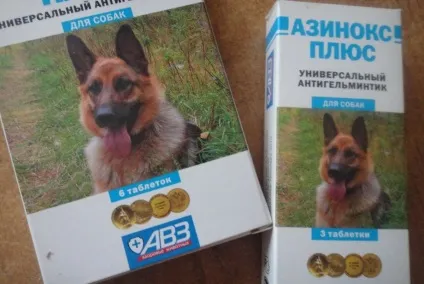 Азінокс плюс для собак відгуки та інструкція як давати собаці (глисти) Азінокс плюс для собак відгуки та інструкція як давати собаці