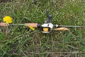 Блешня цикада опис різних проводок і рекомендації по використанню отворів (ловля на блешню цикада) Блешня цикада опис різних проводок і рекомендації по використанню отворів