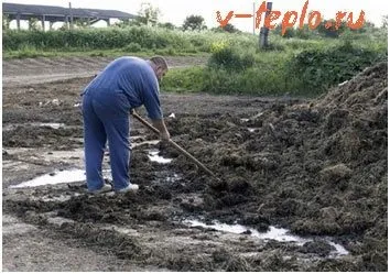 Біопаливо своїми руками в домашніх умовах, вчимося робити біогаз і біодизель