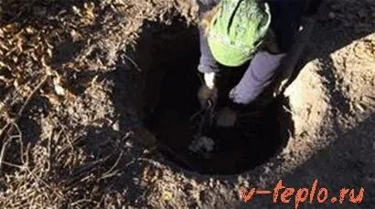 Біопаливо своїми руками в домашніх умовах, вчимося робити біогаз і біодизель