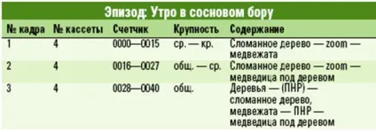 квиток 13