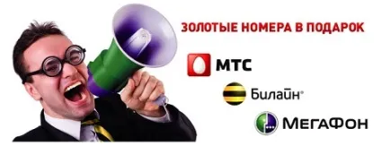 Білайн передача і прийом смс-повідомлень, goodni (прийом) Білайн передача і прийом смс-повідомлень, goodni