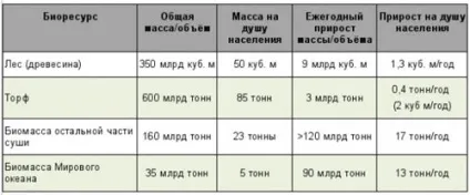 Біопаливо своїми руками в домашніх умовах, вчимося робити біогаз і біодизель