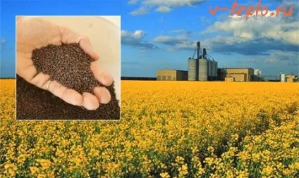 Біопаливо своїми руками в домашніх умовах, вчимося робити біогаз і біодизель
