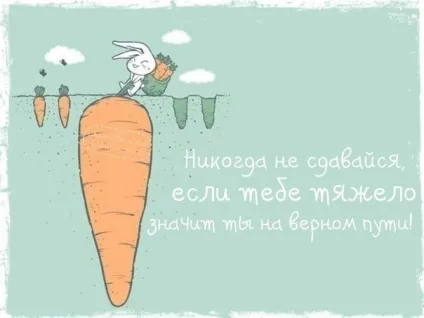 Бізнес ідеї заробітку в селі чи селі, в регіонах (сільський бізнес ідеї господарство агробізнес) Бізнес ідеї заробітку в селі чи селі, в регіонах