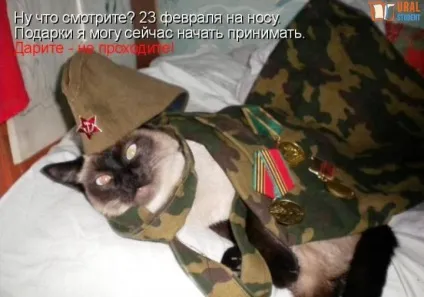 Брати наші менші