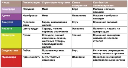 Чакри на варті здоров'я - офіційний сайт газети «оракул» (краса) Чакри на варті здоров'я - офіційний сайт газети «оракул»