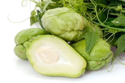 Чайот (chayote), мексиканський огірок - туристичний портал - світ гарний! (Sechium edule) Чайот (chayote), мексиканський огірок - туристичний портал - світ гарний!