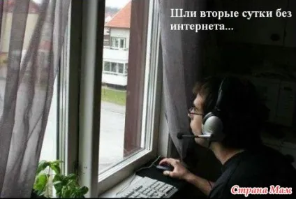 Цілуйте монітори, я в мережі! (Фрази про інтернет) - гумор, приколи, смішні історії - країна мам (мережі) Цілуйте монітори, я в мережі! (Фрази про інтернет) - гумор, приколи, смішні історії - країна мам