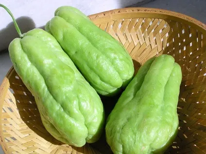 Чайот (chayote), мексиканський огірок - туристичний портал - світ гарний! (Chayote) Чайот (chayote), мексиканський огірок - туристичний портал - світ гарний!
