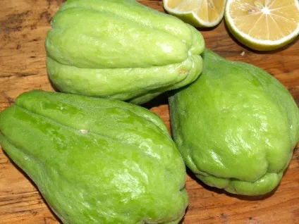 Чайот (chayote), мексиканський огірок - туристичний портал - світ гарний! (Мексиканський огірок) Чайот (chayote), мексиканський огірок - туристичний портал - світ гарний!