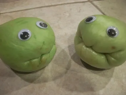 Чайот (chayote), мексиканський огірок - туристичний портал - світ гарний! (Чайот) Чайот (chayote), мексиканський огірок - туристичний портал - світ гарний!