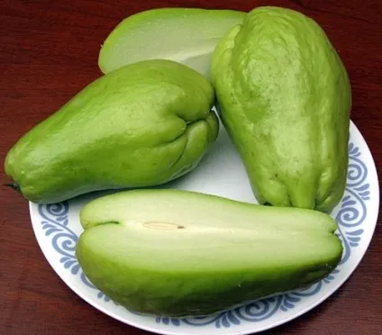 Чайот (chayote), мексиканський огірок - туристичний портал - світ гарний! (Sechium edule) Чайот (chayote), мексиканський огірок - туристичний портал - світ гарний!