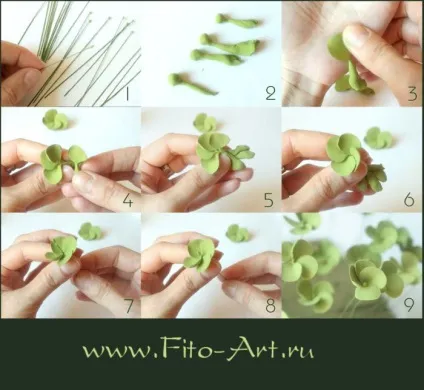 Часті питання - fito art