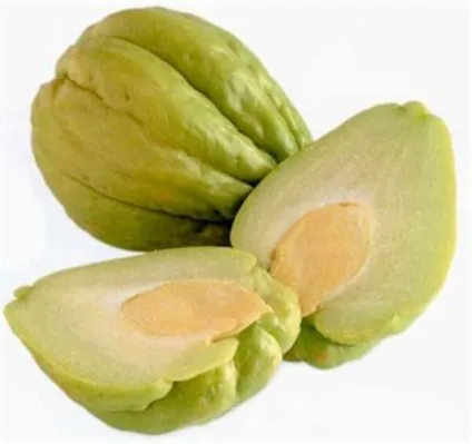 Чайот (chayote), мексиканський огірок - туристичний портал - світ гарний! (Sechium edule) Чайот (chayote), мексиканський огірок - туристичний портал - світ гарний!