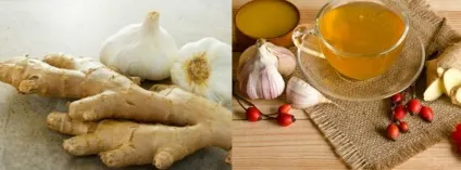 Часник - користь і шкода для здоров'я (користь) Часник - користь і шкода для здоров'я