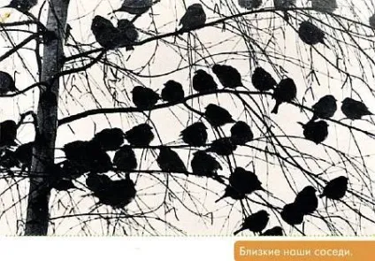 Читати вікно в природу - пісків василь михайлович - сторінка 1 (вікно в природу) Читати вікно в природу - пісків василь михайлович - сторінка 1