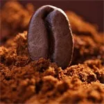 Що пити - кава або цикорій, користь і шкода кави, корисні властивості цикорію (кава цикорій користь кави шкоду кави користь і шкода кави замінник кави цикорій корисні властивості цикорію) Що пити - кава або цикорій, користь і шкода кави, корисні властивості цикорію