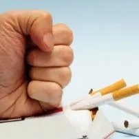 Що означає поняття ергономічні меблі (меблі) Що означає поняття ергономічні меблі