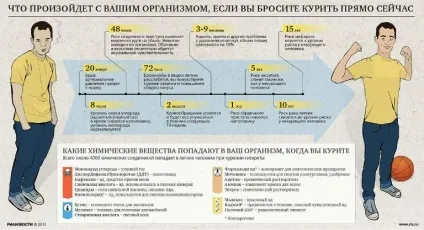 Що відбувається з організмом, коли кидаєш палити (відбувається) Що відбувається з організмом, коли кидаєш палити