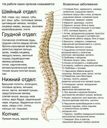 Що означає якщо хребет прямо дуже випирає (дуже) Що означає якщо хребет прямо дуже випирає