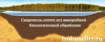Що таке сапропель властивості сапропелю (сапропелю) Що таке сапропель властивості сапропелю