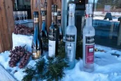 Що таке крижане вино особливості, популярні виробники, відгуки (крижане) Що таке крижане вино особливості, популярні виробники, відгуки