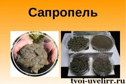 Що таке сапропель властивості сапропелю (сапропель купити) Що таке сапропель властивості сапропелю