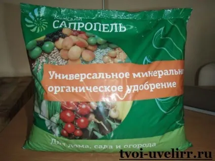 Що таке сапропель властивості сапропелю (видобуток сапропелю) Що таке сапропель властивості сапропелю