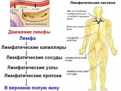 Що таке лімфатичний набряк