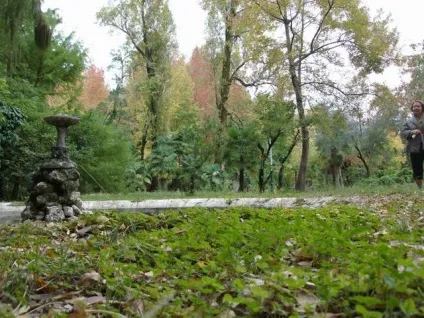 Що варто подивитися в Гаграх