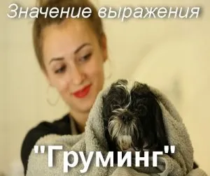 Що значить грумінг як зрозуміти слово грумер переклад та походження (це) Що значить грумінг як зрозуміти слово грумер переклад та походження