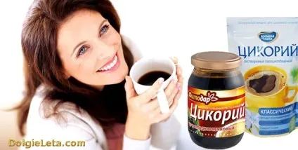 Цикорій корисні властивості для схуднення і протипоказання напою (цикорій на ніч) Цикорій корисні властивості для схуднення і протипоказання напою