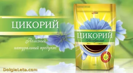 Цикорій корисні властивості для схуднення і протипоказання напою (чи можна пити цикорій) Цикорій корисні властивості для схуднення і протипоказання напою