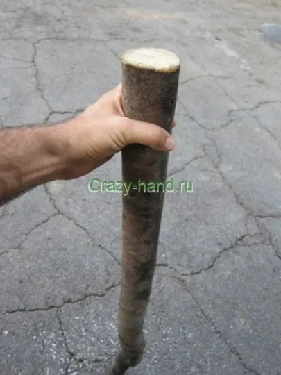 Робимо сільничку своїми руками
