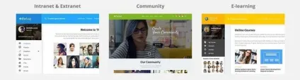 Робимо сайт з платним доступом на wordpress 2017