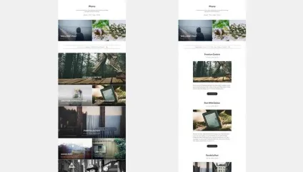 Робимо сайт з платним доступом на wordpress 2017