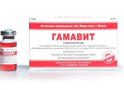 Демодекоз у собак - лікування, симптоми, причини