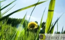 Літній ковдру для сну в жарку ніч (ковдру) Літній ковдру для сну в жарку ніч