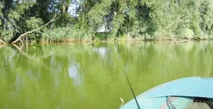 Ловля окуня в ставках, озерах, затоках старицях на джиг ловля ставкового, озерного окуня на с'едобку (озерах) Ловля окуня в ставках, озерах, затоках старицях на джиг ловля ставкового, озерного окуня на с'едобку